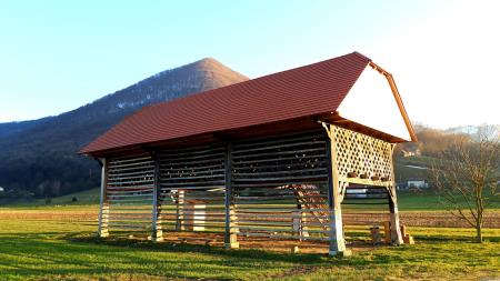 POLJČANE_KOZOLEC ČRETI_JELKA HRIBERNIK